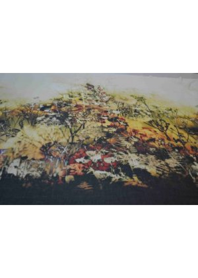 Блузочно-плательный батист принт 02-0122